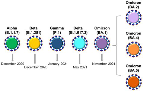 sars cov 2 variant detection.